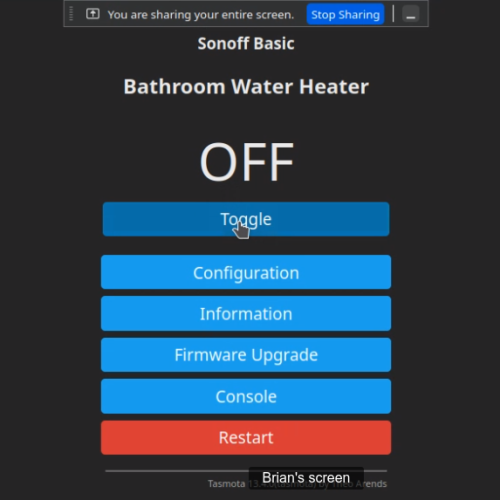 List of options for controlling a Sonoff from within Home Assistant